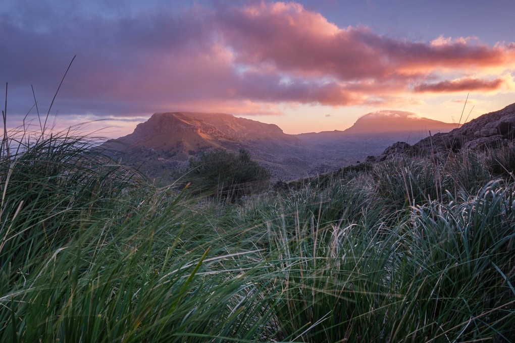 Weitere Ansicht: Naturerlebnis Mallorca | Lothar Schmidt