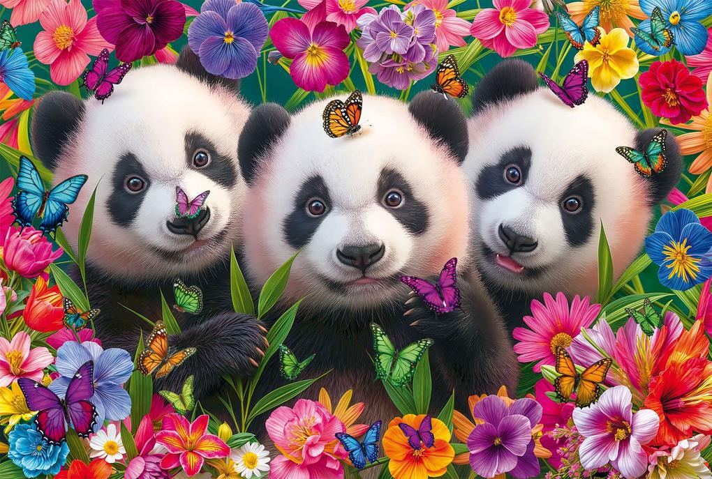 Weitere Ansicht: Panda-Trio