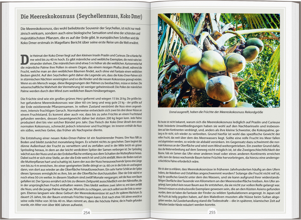Weitere Ansicht: DUMONT Reise-Handbuch Reiseführer Seychellen | Philipp Därr, Wolfgang Därr