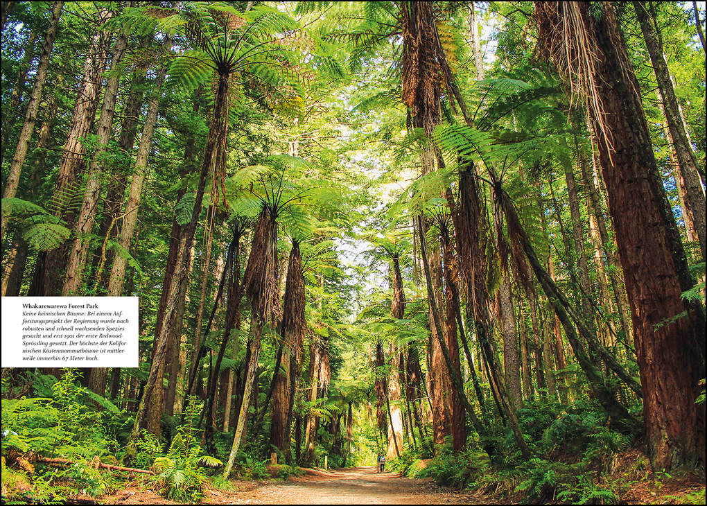 Weitere Ansicht: KUNTH Unterwegs in Neuseeland | Melanie Goldmann, Birgit Adam, Robert Fischer, Thomas Frank