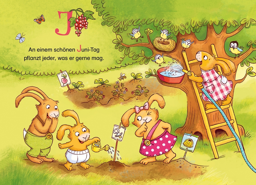 Weitere Ansicht: Wenn sieben kleine Hasen durch das ABC rasen | Sabine Praml