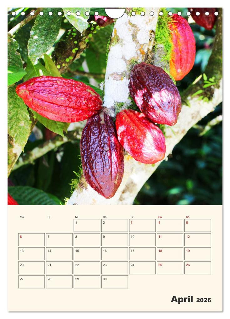 Weitere Ansicht: Ecuador - Terminplaner (Wandkalender 2026 DIN A4 hoch), CALVENDO Monatskalender | Denise Graupner, Calvendo