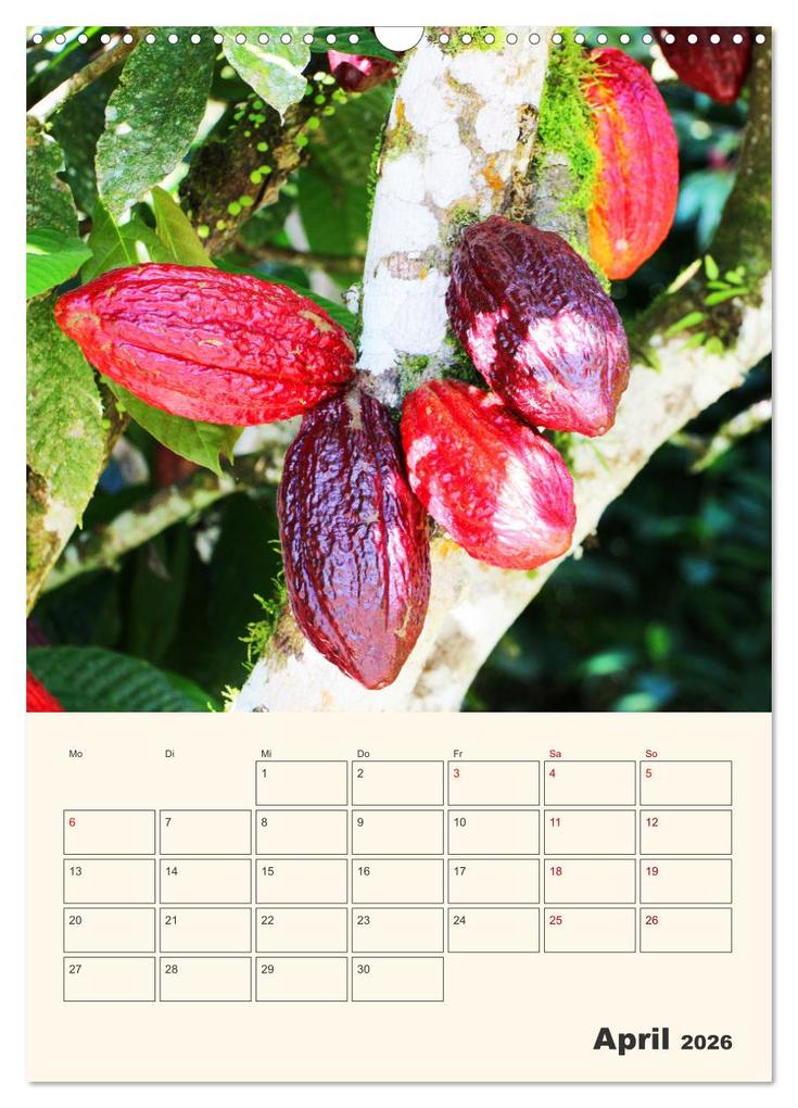 Weitere Ansicht: Ecuador - Terminplaner (Wandkalender 2026 DIN A3 hoch), CALVENDO Monatskalender | Denise Graupner, Calvendo