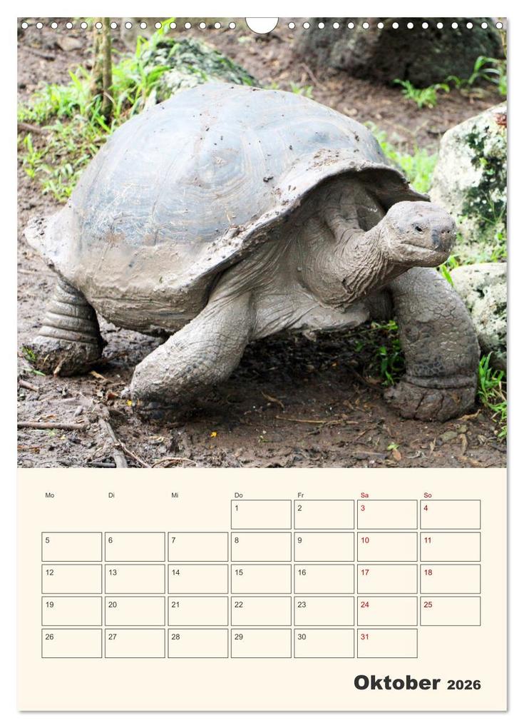 Weitere Ansicht: Ecuador - Terminplaner (Wandkalender 2026 DIN A3 hoch), CALVENDO Monatskalender | Denise Graupner, Calvendo
