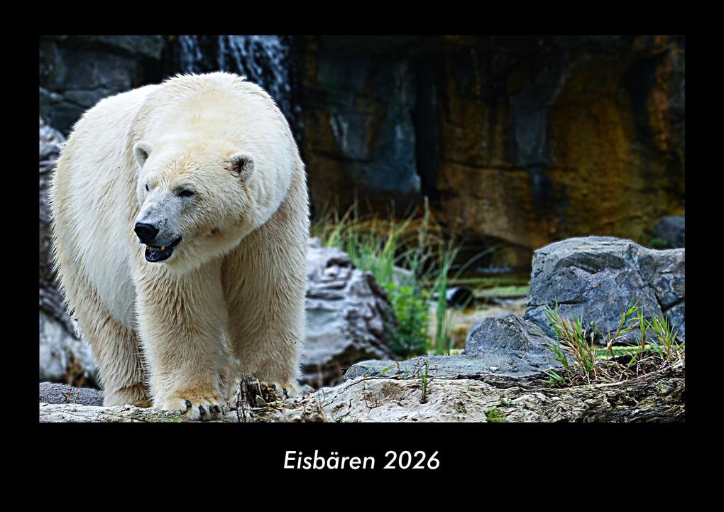 Produktbild: Eisbären 2026 Fotokalender DIN A3 | Kevin Heber, Tobias Schmitt