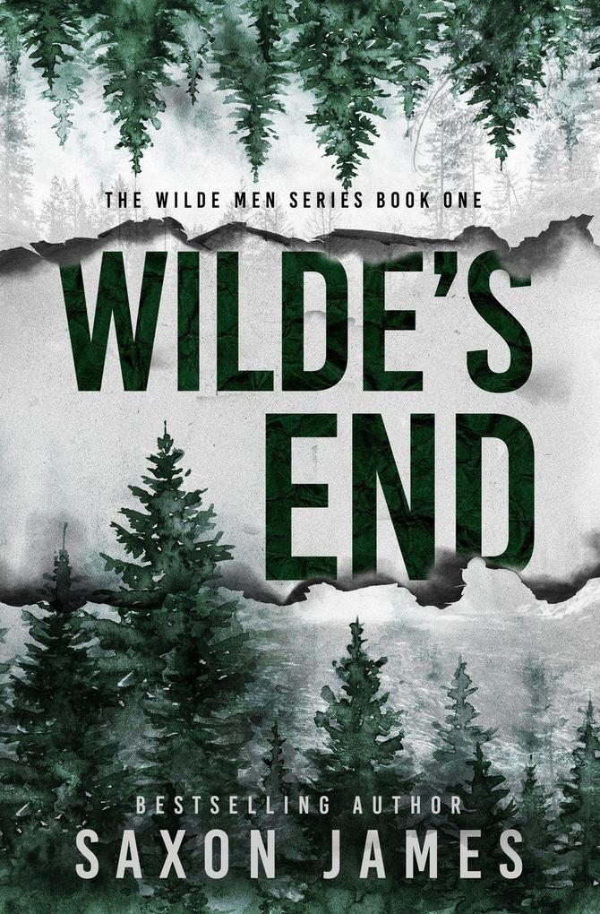 Produktbild: Wilde's End | Saxon James