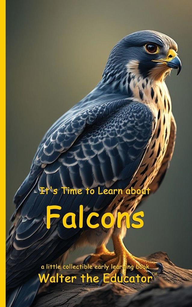 Produktbild: It's Time to Learn about Falcons | Walter the Educator