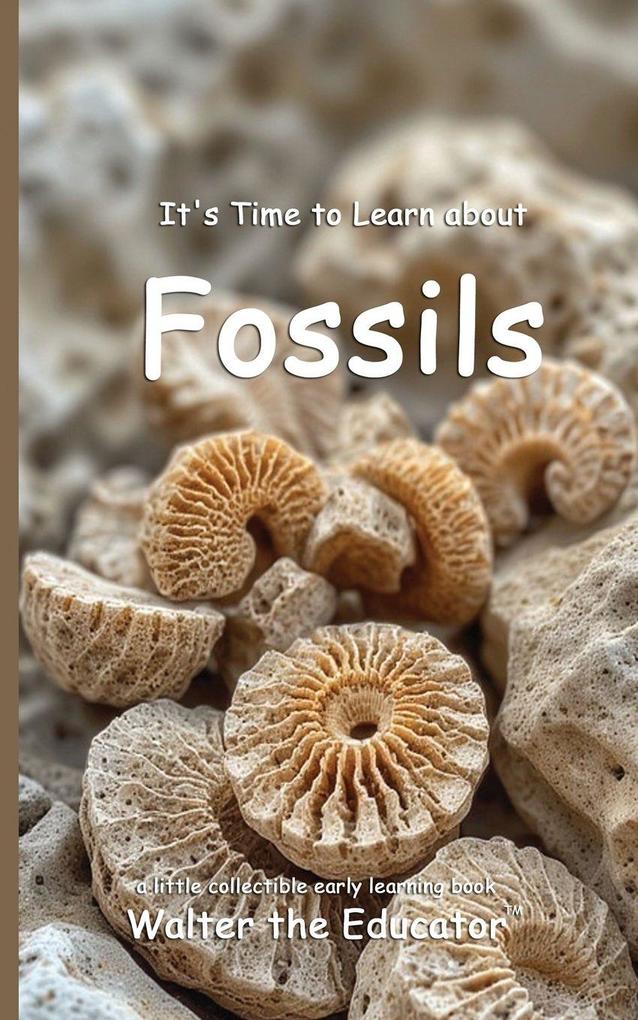 Produktbild: It's Time to Learn about Fossils | Walter the Educator
