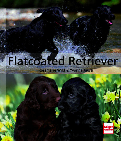 Produktbild: Flatcoated Retriever | Rosemarie Wild, Yvonne Jaussi