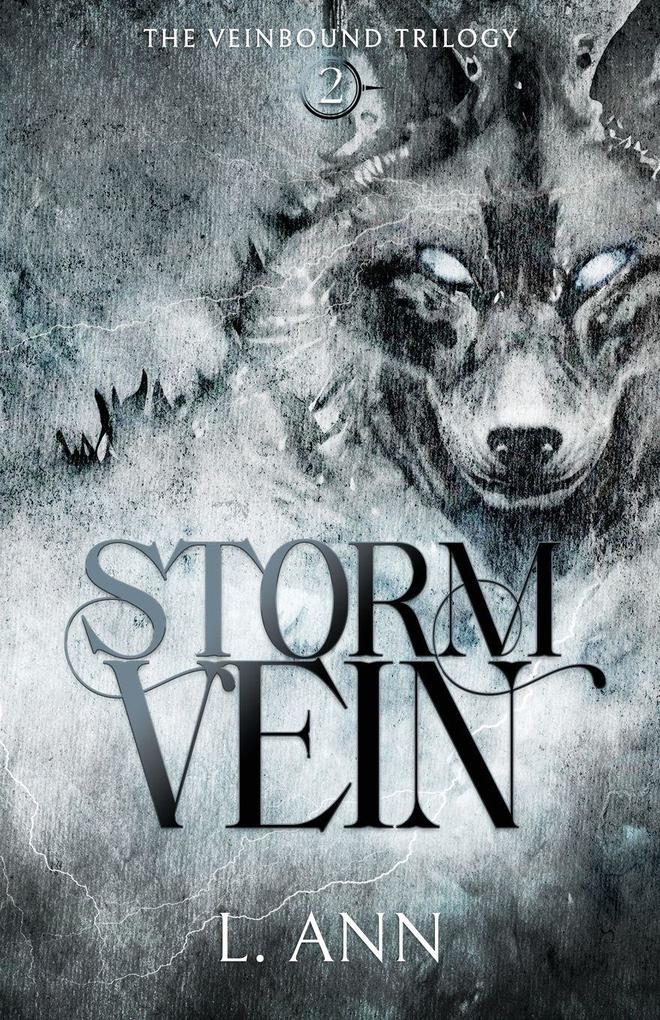 Produktbild: Stormvein | L. Ann