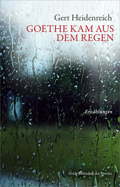 Produktbild: Goethe kam aus dem Regen | Gert Heidenreich
