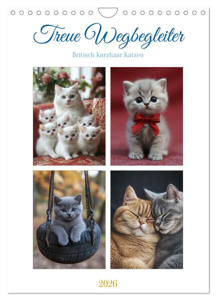 Produktbild: Treue Wegbegleiter (Wandkalender 2026 DIN A4 hoch), CALVENDO Monatskalender | Steffen Gierok-Latniak, Calvendo
