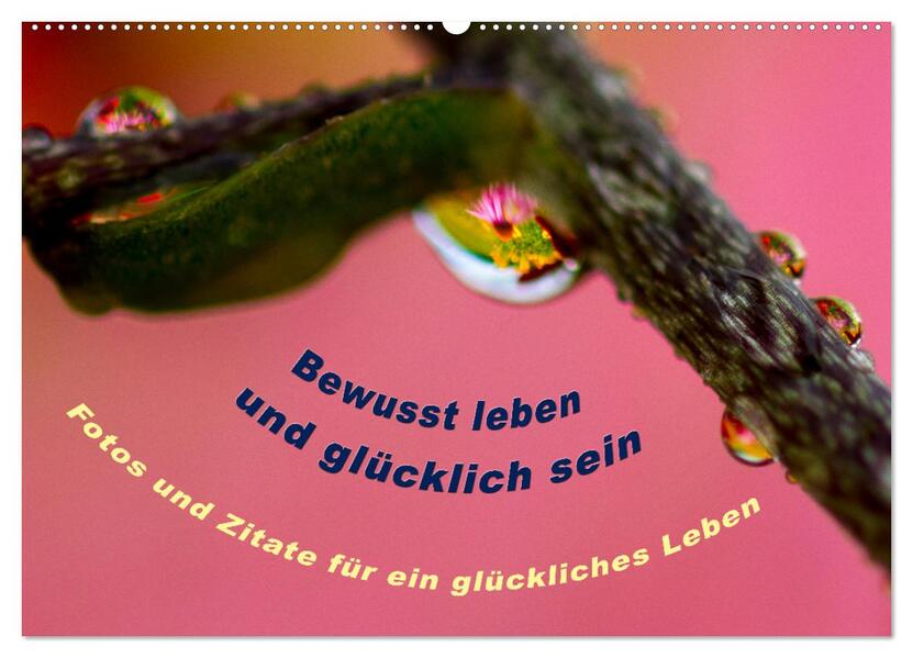Produktbild: Bewusst leben und glücklich sein (Wandkalender 2026 DIN A2 quer), CALVENDO Monatskalender | Katja von www.LebenFreude.net, Calvendo