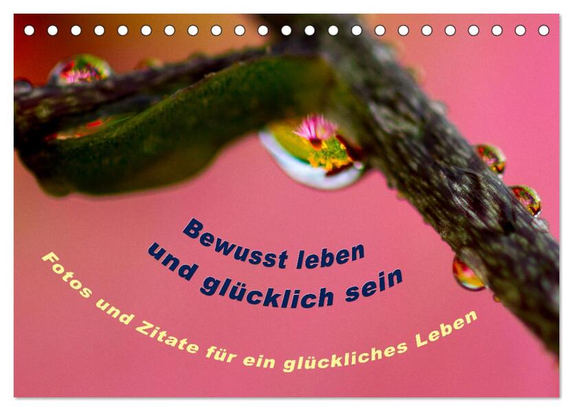 Produktbild: Bewusst leben und glücklich sein (Tischkalender 2026 DIN A5 quer), CALVENDO Monatskalender | Katja von www.LebenFreude.net, Calvendo