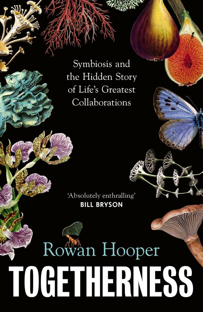 Produktbild: Togetherness | Rowan Hooper