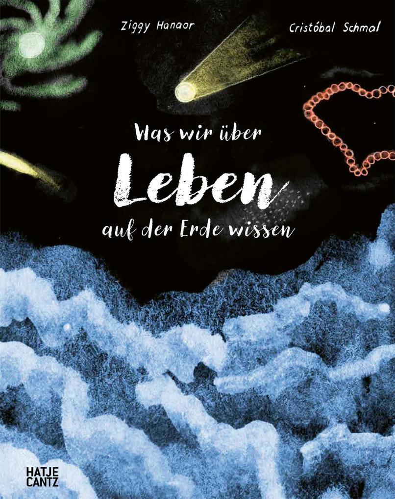 Produktbild: Was wir über Leben auf der Erde wissen | Ziggy Hanaor