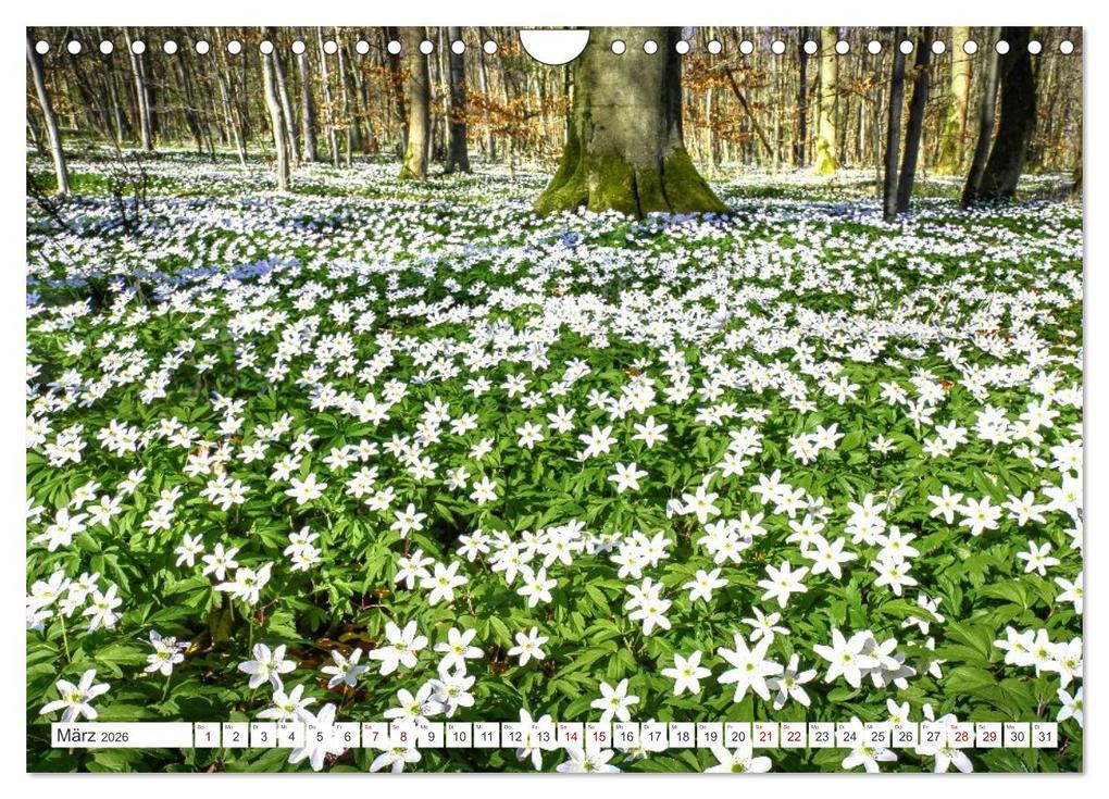Weitere Ansicht: Die RHÖN: Faszinierende Berge und lebendige Bäche (Wandkalender 2026 DIN A4 quer), CALVENDO Monatskalender | Manfred Hempe, Calvendo