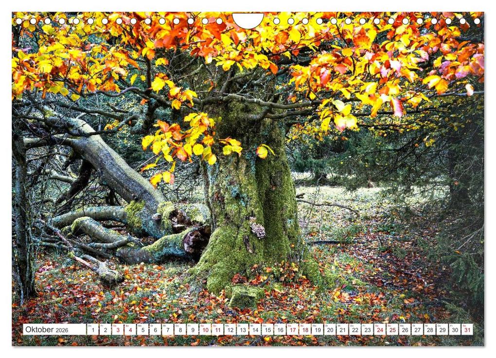 Weitere Ansicht: Die RHÖN: Faszinierende Berge und lebendige Bäche (Wandkalender 2026 DIN A4 quer), CALVENDO Monatskalender | Manfred Hempe, Calvendo
