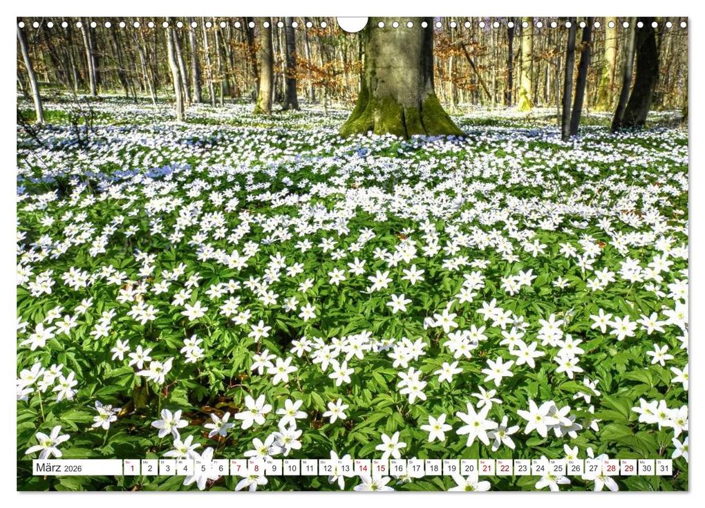 Weitere Ansicht: Die RHÖN: Faszinierende Berge und lebendige Bäche (Wandkalender 2026 DIN A3 quer), CALVENDO Monatskalender | Manfred Hempe, Calvendo