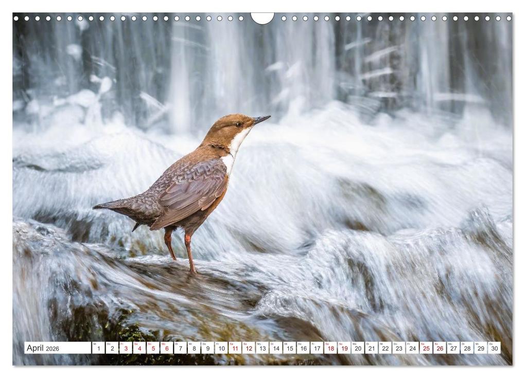Weitere Ansicht: Die RHÖN: Faszinierende Berge und lebendige Bäche (Wandkalender 2026 DIN A3 quer), CALVENDO Monatskalender | Manfred Hempe, Calvendo