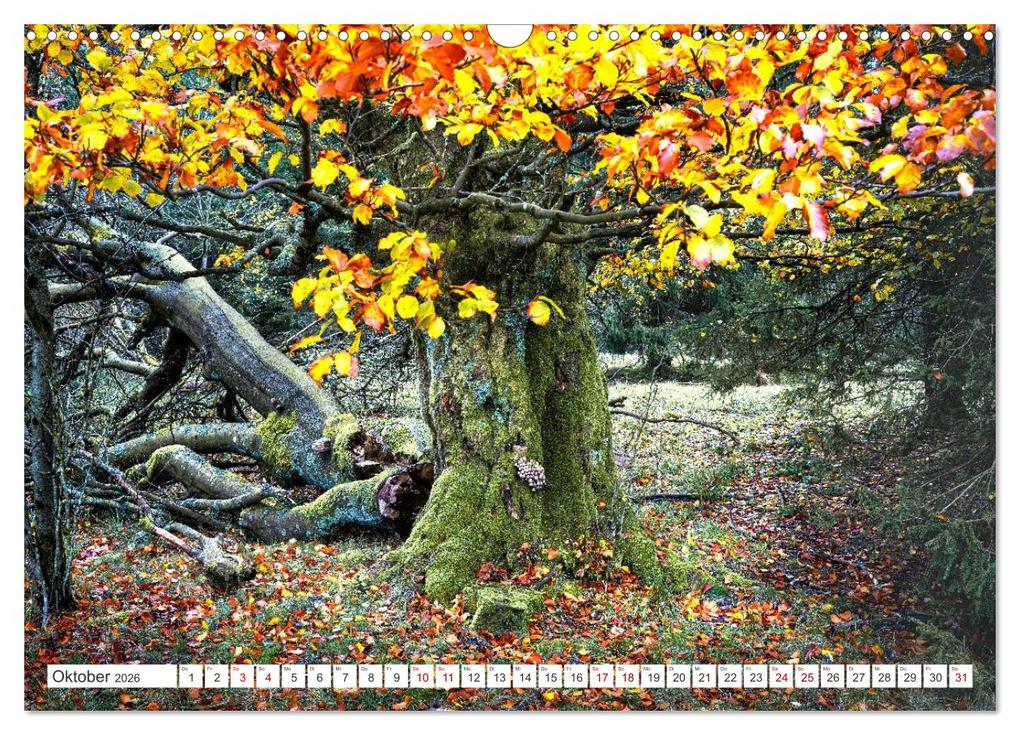 Weitere Ansicht: Die RHÖN: Faszinierende Berge und lebendige Bäche (Wandkalender 2026 DIN A3 quer), CALVENDO Monatskalender | Manfred Hempe, Calvendo