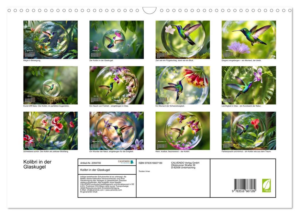 Weitere Ansicht: Kolibri in der Glaskugel (Wandkalender 2026 DIN A3 quer), CALVENDO Monatskalender | Torsten Irmer, Calvendo