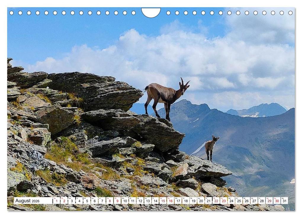 Weitere Ansicht: Majestätische Alpen (Wandkalender 2026 DIN A4 quer), CALVENDO Monatskalender | Hubert Krummenacher, Calvendo