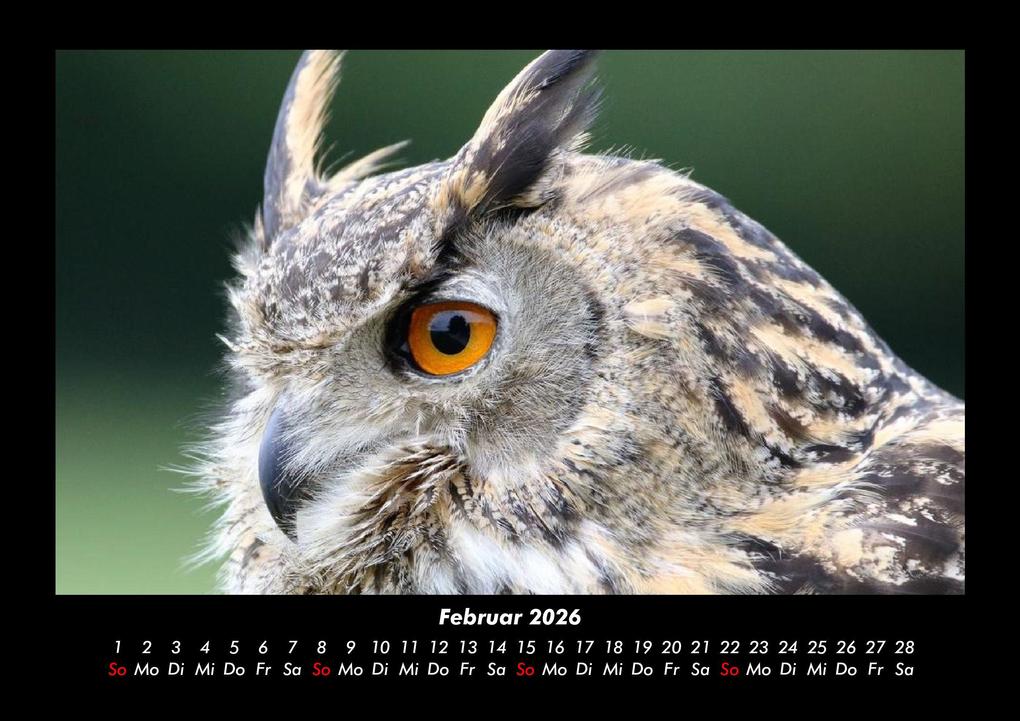 Weitere Ansicht: Vögel 2026 Fotokalender DIN A3 | Kevin Heber, Tobias Schmitt
