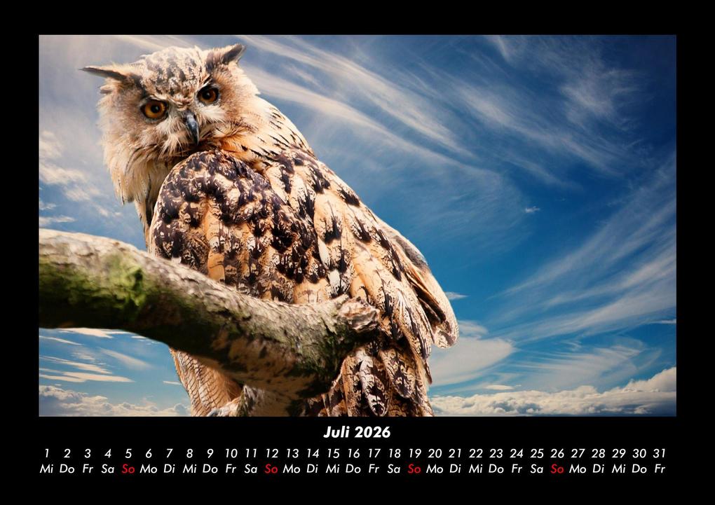 Weitere Ansicht: Vögel 2026 Fotokalender DIN A3 | Kevin Heber, Tobias Schmitt