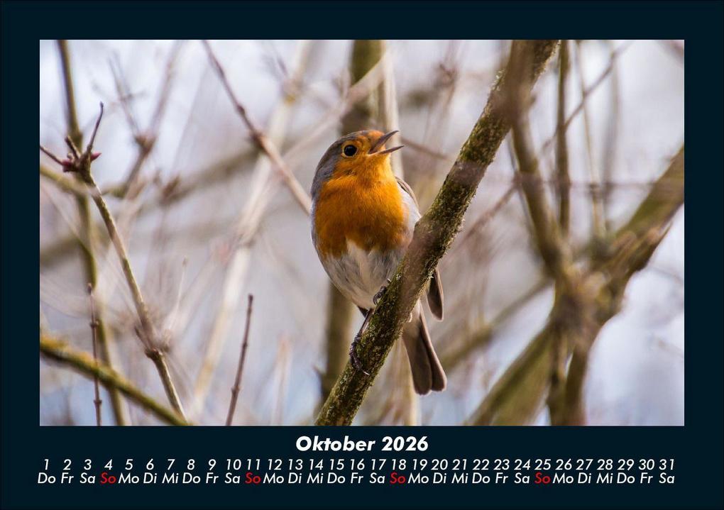 Weitere Ansicht: Vögel 2026 Fotokalender DIN A5 | Kevin Heber, Tobias Schmitt