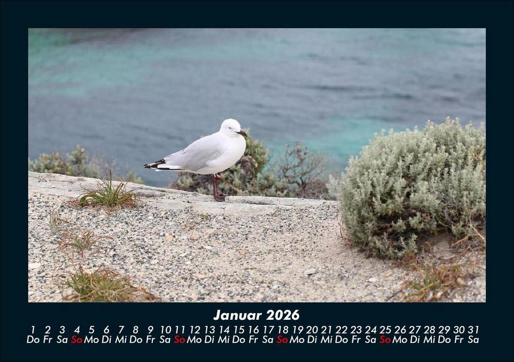 Weitere Ansicht: Vögel 2026 Fotokalender DIN A5 | Kevin Heber, Tobias Schmitt