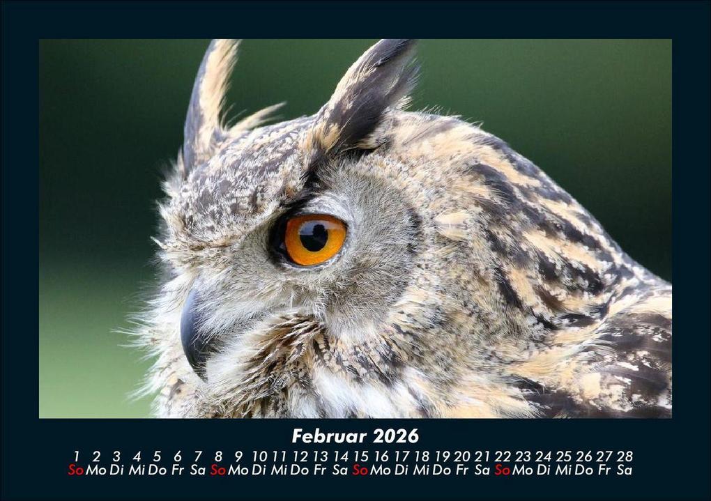 Weitere Ansicht: Vögel 2026 Fotokalender DIN A5 | Kevin Heber, Tobias Schmitt