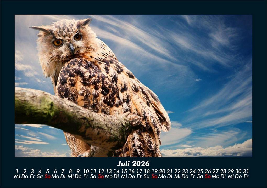 Weitere Ansicht: Vögel 2026 Fotokalender DIN A5 | Kevin Heber, Tobias Schmitt