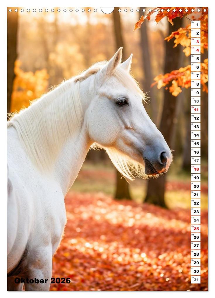 Weitere Ansicht: Pferdekalender - Wunderschöne Pferde in Natur und Portraits (Wandkalender 2026 DIN A3 hoch), CALVENDO Monatskalender | MB Fotografie, Calvendo