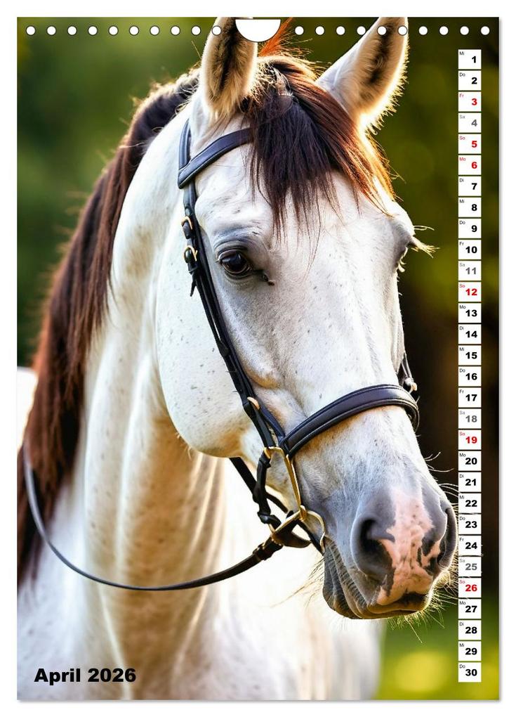 Weitere Ansicht: Pferdekalender - Wunderschöne Pferde in Natur und Portraits (Wandkalender 2026 DIN A4 hoch), CALVENDO Monatskalender | MB Fotografie, Calvendo