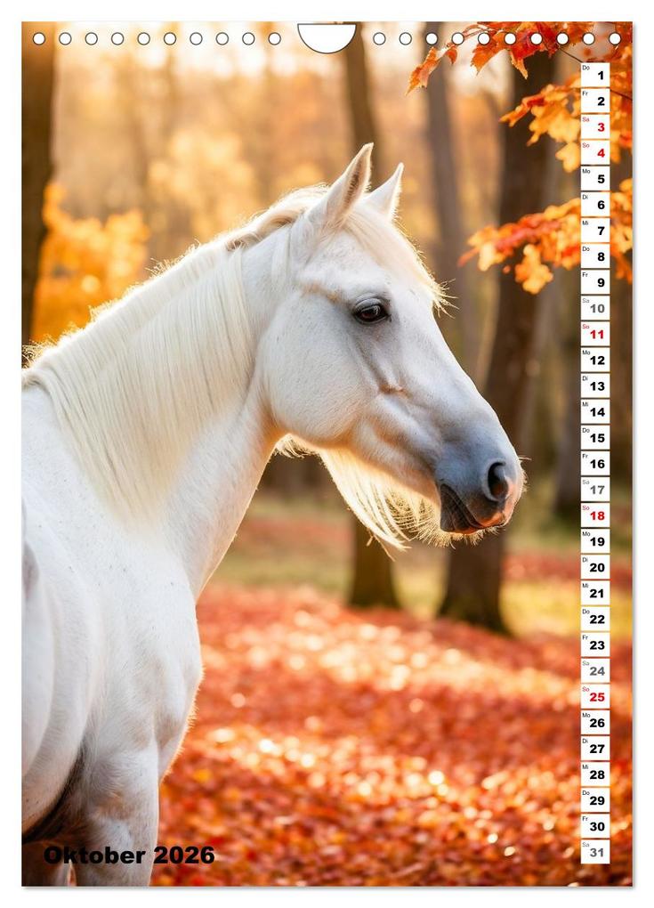 Weitere Ansicht: Pferdekalender - Wunderschöne Pferde in Natur und Portraits (Wandkalender 2026 DIN A4 hoch), CALVENDO Monatskalender | MB Fotografie, Calvendo