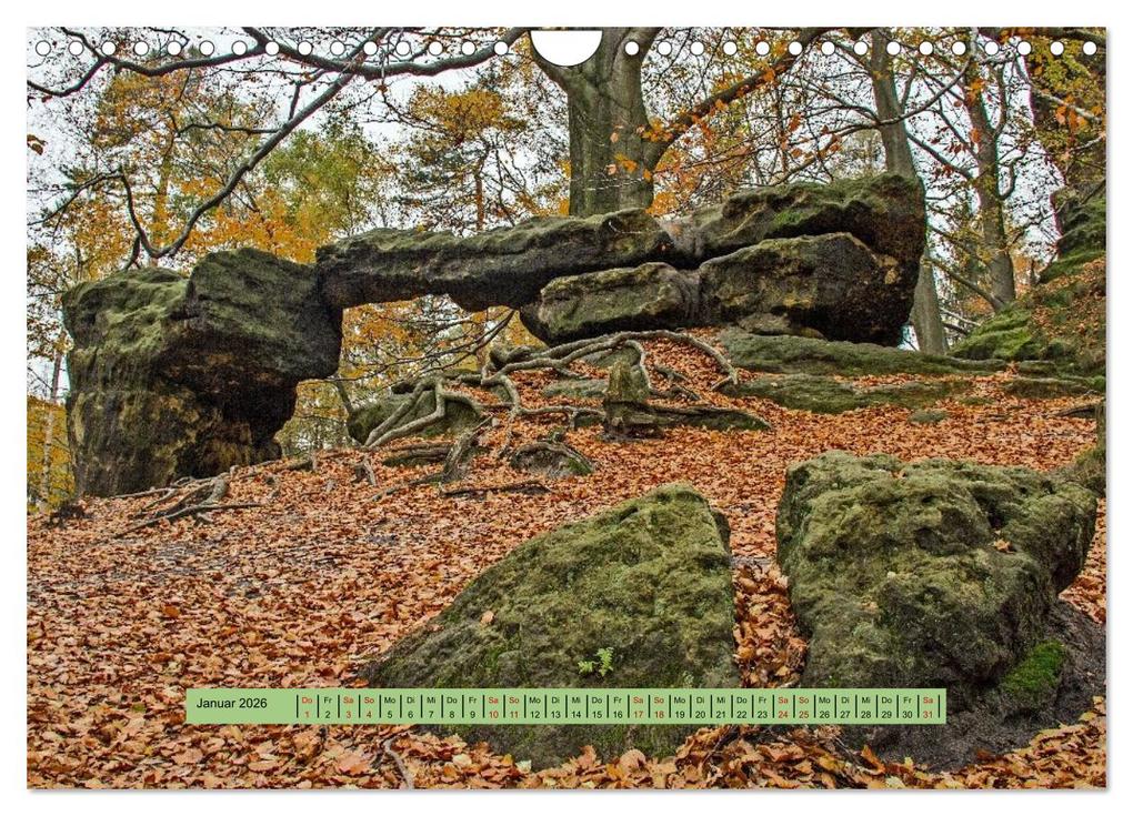 Weitere Ansicht: Sächsische Schweiz - Erlebnisse eines Herbsturlaubs (Wandkalender 2026 DIN A4 quer), CALVENDO Monatskalender | Holger Felix, Calvendo
