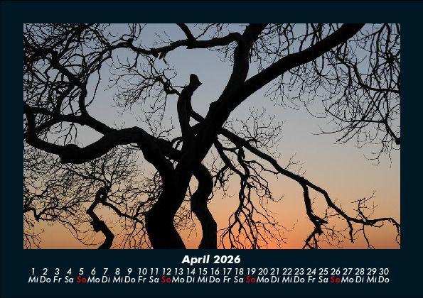 Weitere Ansicht: Landschaftskalender 2026 Fotokalender DIN A5 | Tobias Becker