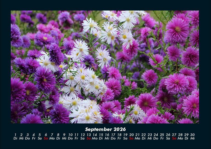 Weitere Ansicht: Blumenträume 2026 Fotokalender DIN A4 | Tobias Becker