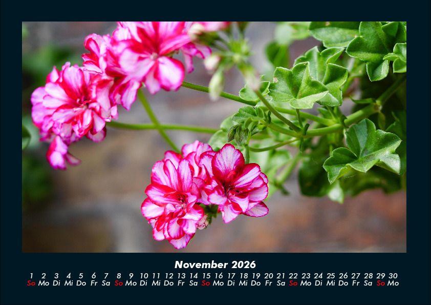 Weitere Ansicht: Blumenträume 2026 Fotokalender DIN A4 | Tobias Becker