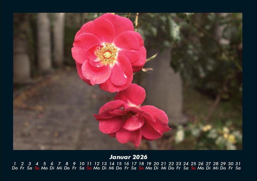 Weitere Ansicht: Blumenträume 2026 Fotokalender DIN A4 | Tobias Becker