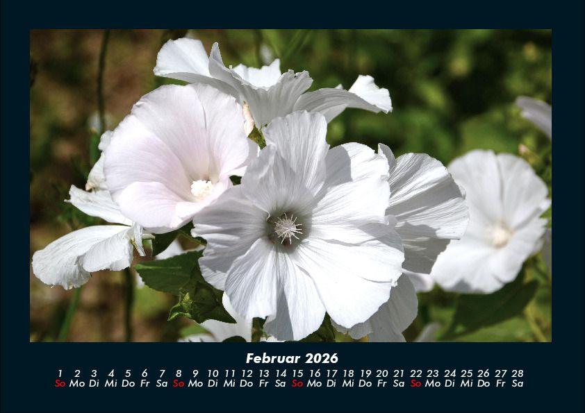 Weitere Ansicht: Blumenträume 2026 Fotokalender DIN A4 | Tobias Becker