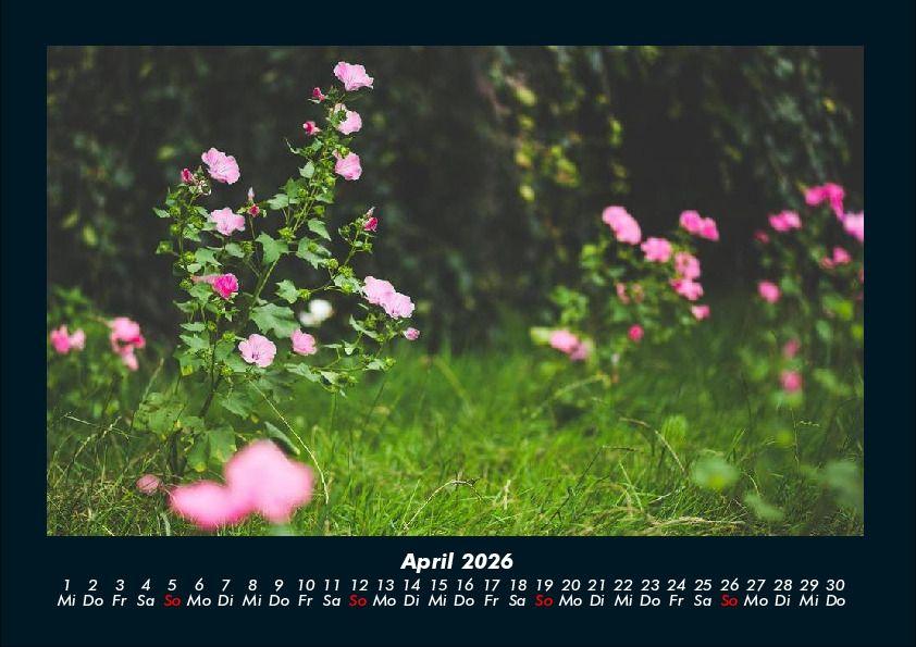 Weitere Ansicht: Blumenträume 2026 Fotokalender DIN A4 | Tobias Becker