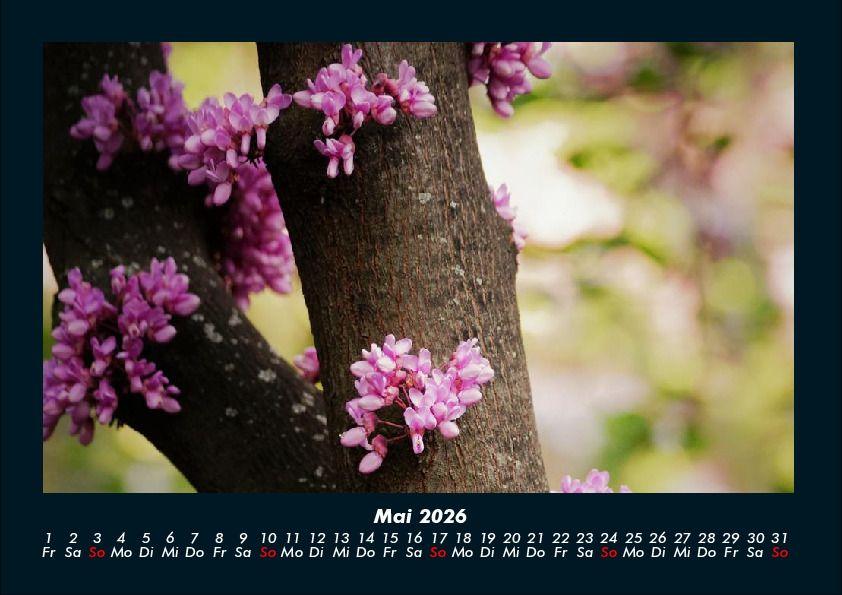 Weitere Ansicht: Blumenträume 2026 Fotokalender DIN A4 | Tobias Becker