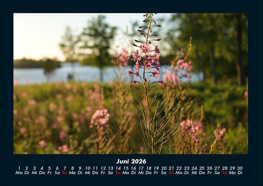 Weitere Ansicht: Blumenträume 2026 Fotokalender DIN A4 | Tobias Becker