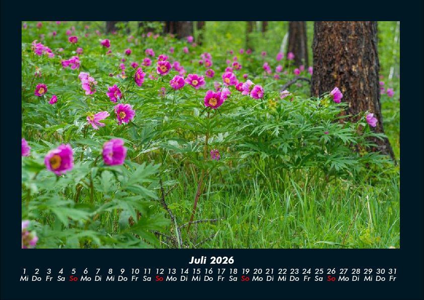 Weitere Ansicht: Blumenträume 2026 Fotokalender DIN A4 | Tobias Becker