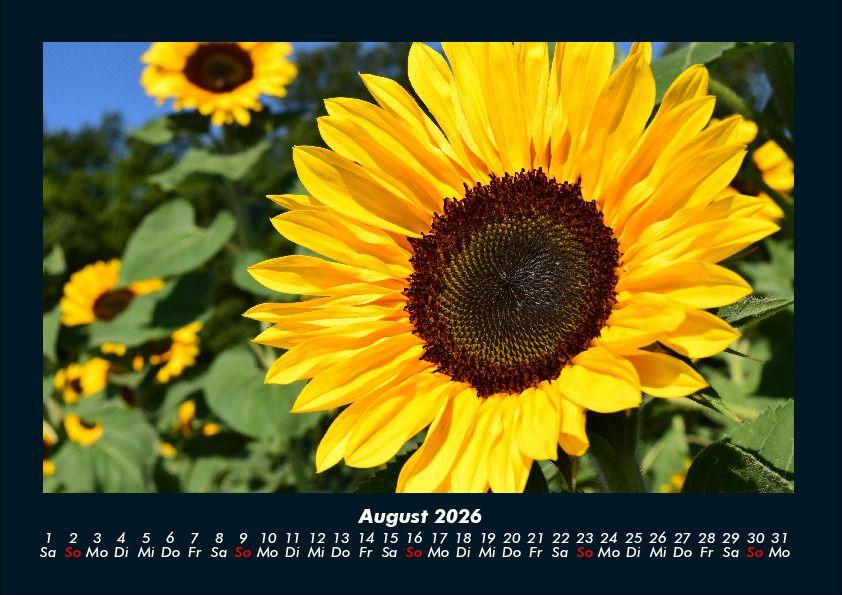 Weitere Ansicht: Blumenträume 2026 Fotokalender DIN A4 | Tobias Becker