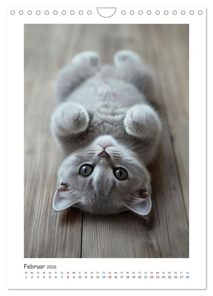 Weitere Ansicht: Treue Wegbegleiter (Wandkalender 2026 DIN A4 hoch), CALVENDO Monatskalender | Steffen Gierok-Latniak, Calvendo