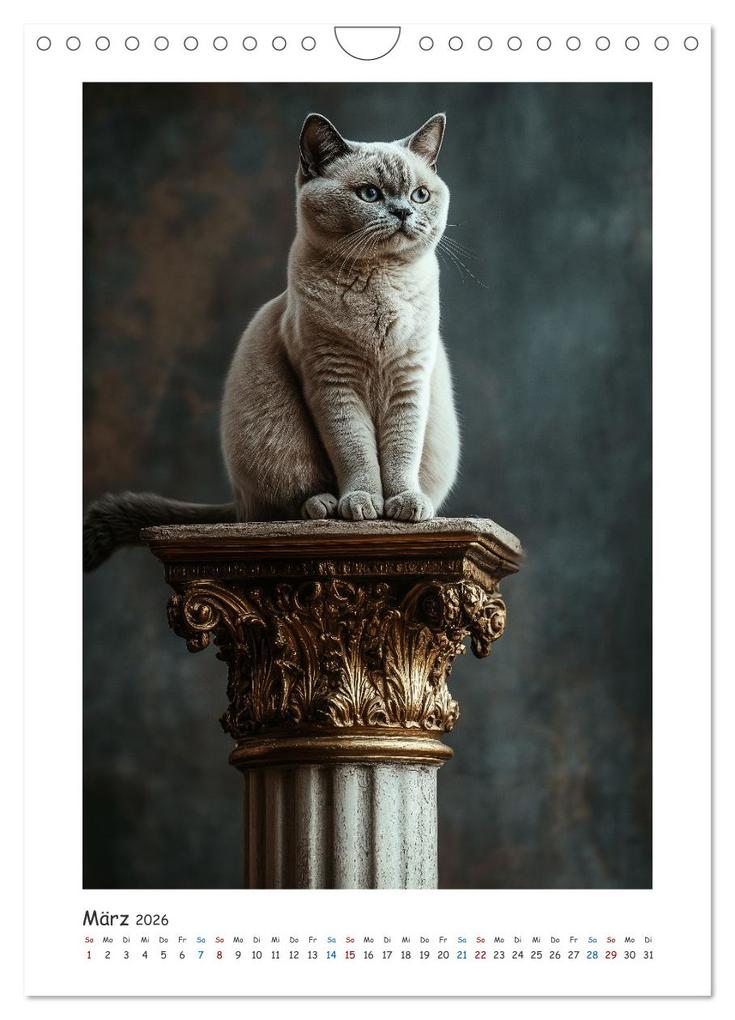 Weitere Ansicht: Treue Wegbegleiter (Wandkalender 2026 DIN A4 hoch), CALVENDO Monatskalender | Steffen Gierok-Latniak, Calvendo