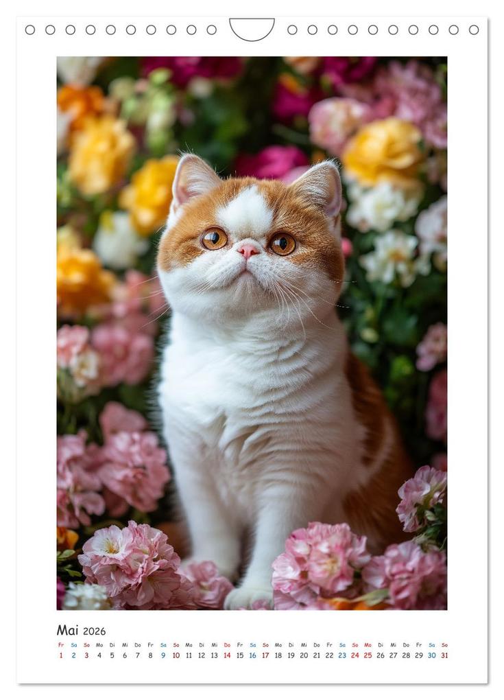 Weitere Ansicht: Treue Wegbegleiter (Wandkalender 2026 DIN A4 hoch), CALVENDO Monatskalender | Steffen Gierok-Latniak, Calvendo